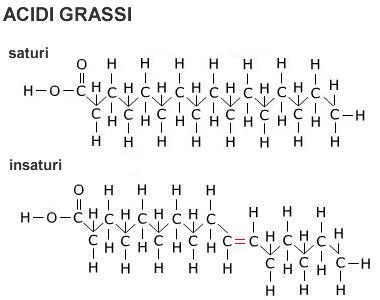 acidi-grassi